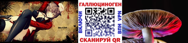 где можно купить   Черемхово  Галлюциногенные грибы Psilocybine cubensis 