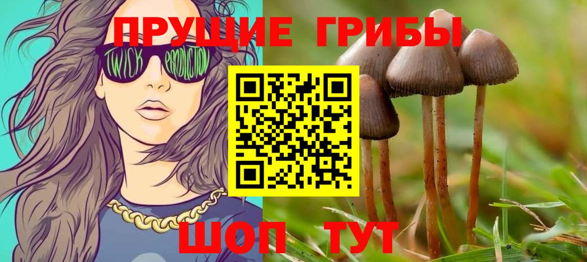 Черемхово  Галлюциногенные грибы ЛСД  Вход с VPN 