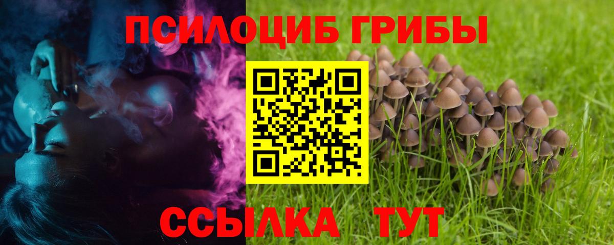 Галлюциногенные грибы Psilocybine cubensis Черемхово